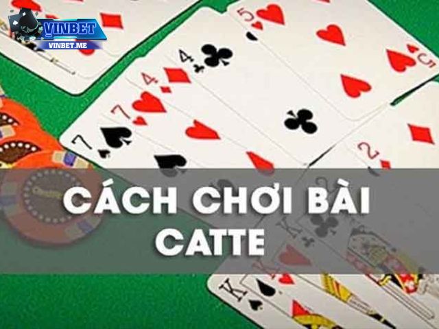 Hướng Dẫn Cách Chơi Catte Vin**** Cho Người Mới