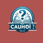 Câu Hỏi Edu