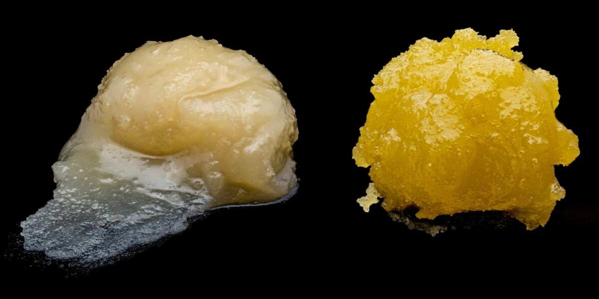 Rosin Resin Market Revenue Growth and Quantitative Analysis Till 2033