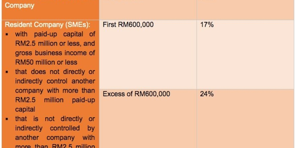 Mastering Business Taxation in Malaysia: A Roadmap to Financial Efficiency