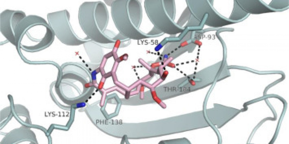 Tanespimycin Production Plant Cost Report 2024: Price Trend Analysis, Profit Margins, and Raw Materials