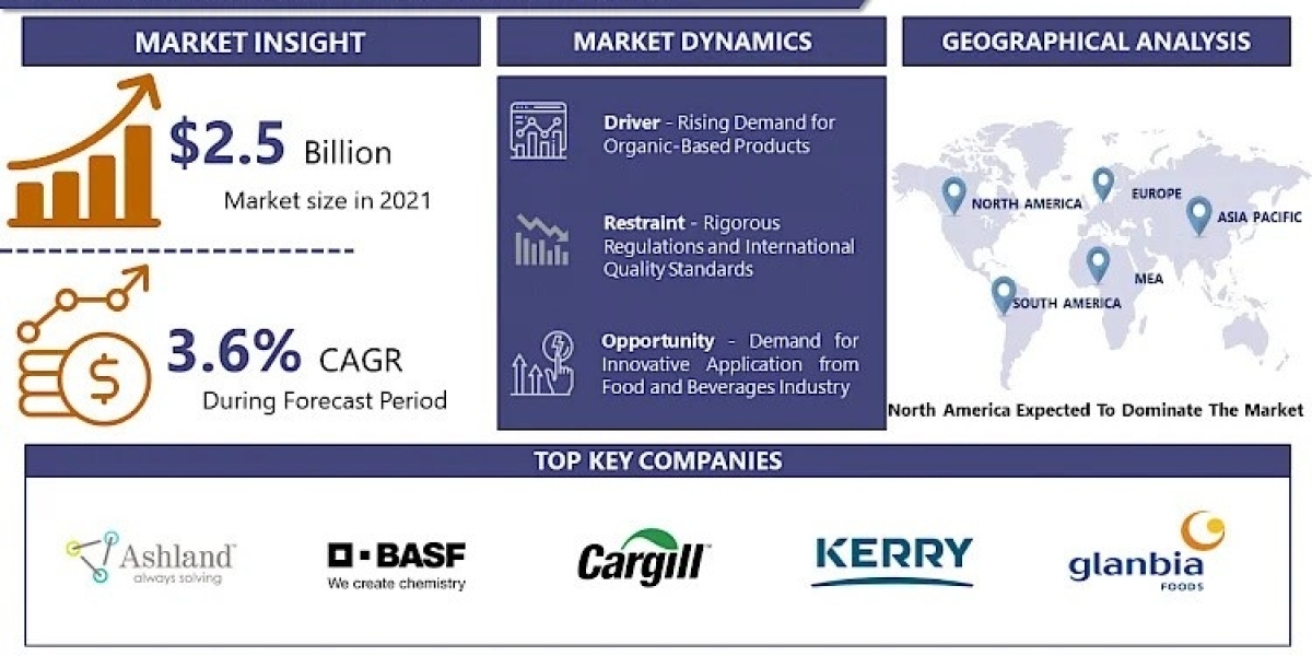 Food Stabilizer Market Future Scope and Latest Trends Analysis Report 2024-2032