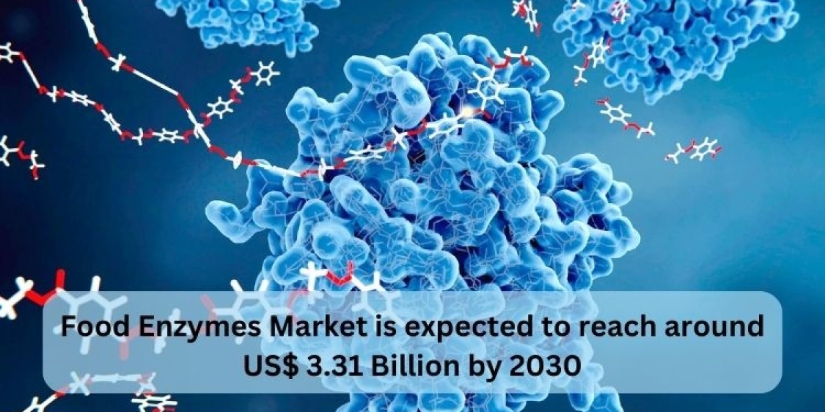 Food Enzymes Market Analysis Forecast 2024- 2030