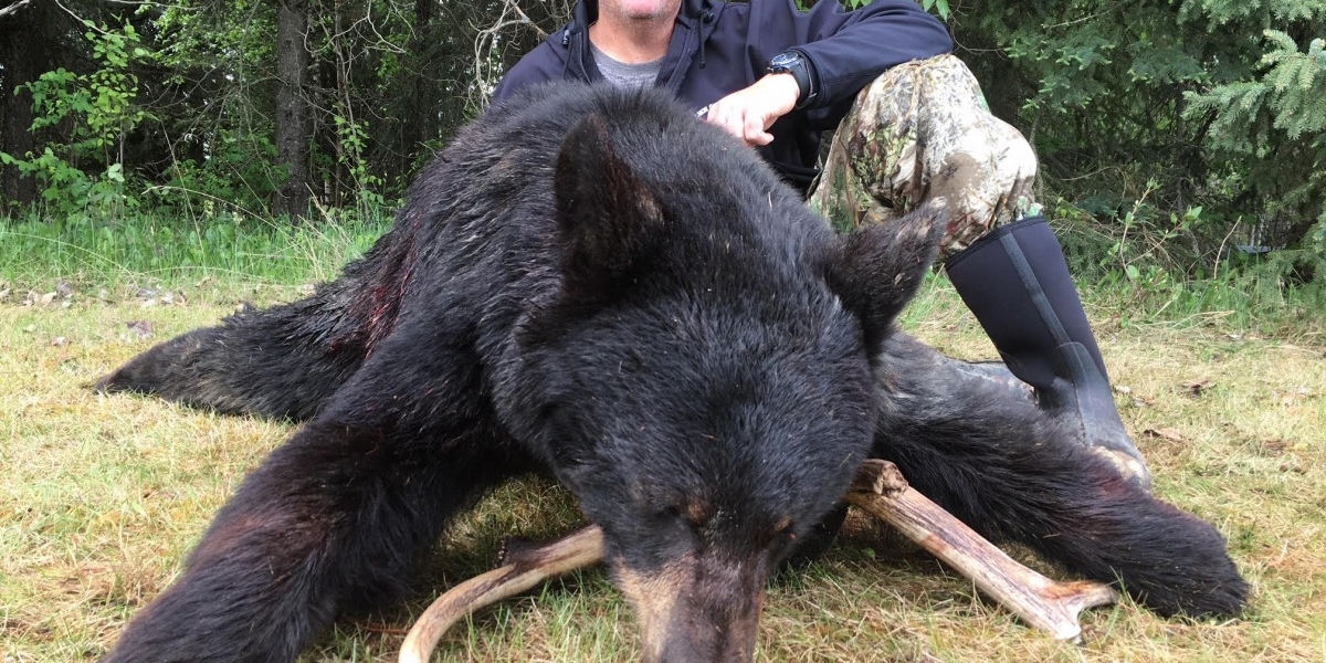 Fall Black Bear Hunts with Hunt Nation