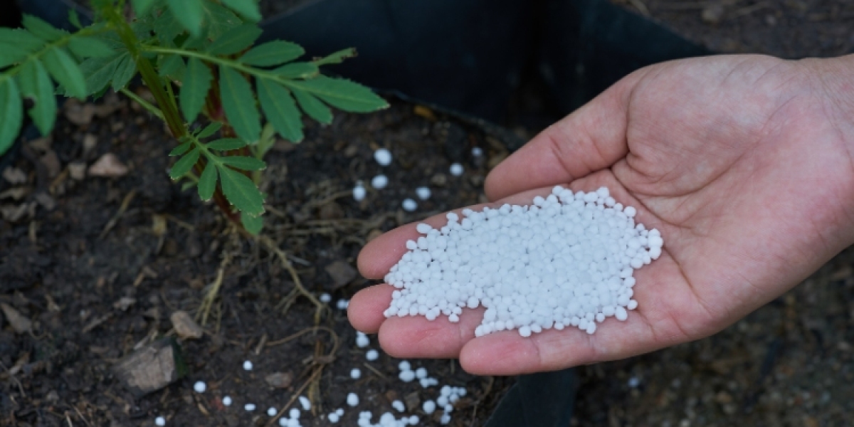 Europe Fertilizer Market Analysis Forecast 2024- 2030