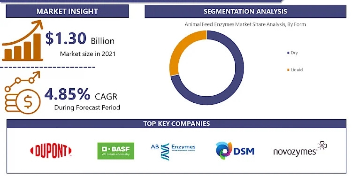 Animal Feed Enzymes Market 2028 Market Overview: Size, Share, and Growth