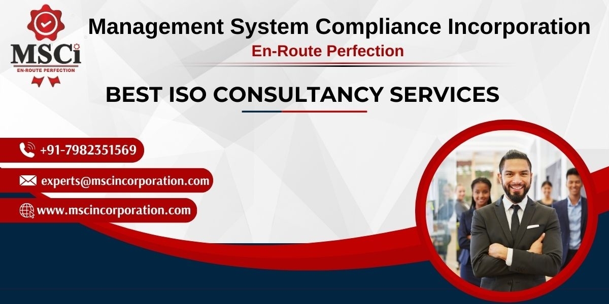 What does an ISO consultant do?