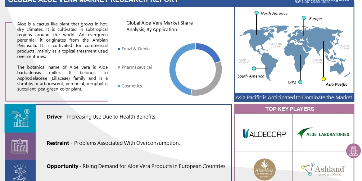 Aloe Vera Market Size In 2024 - 2032: Trends, Top Companies