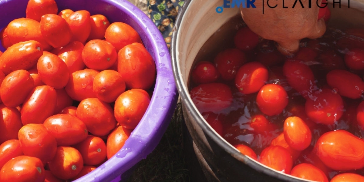 The Tomato Processing Market: Trends, Growth, and Opportunities