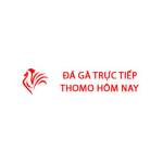 Đá Gà Trực Tiếp Thomo Hôm Nay