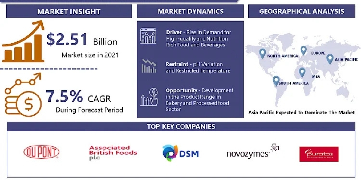 Food Enzymes Market Latest Research Report, Business Opportunities, Size Predicts Favourable Growth | IMR