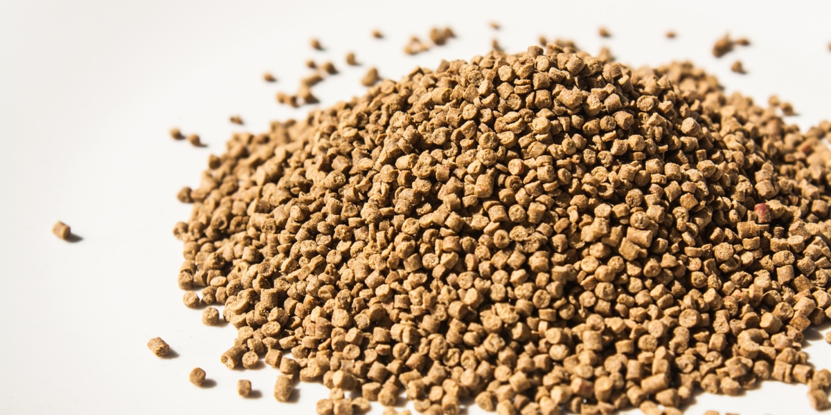 Fish Feed Manufacturing Plant Project Report 2024: Manufacturing Process, and Investment Opportunities