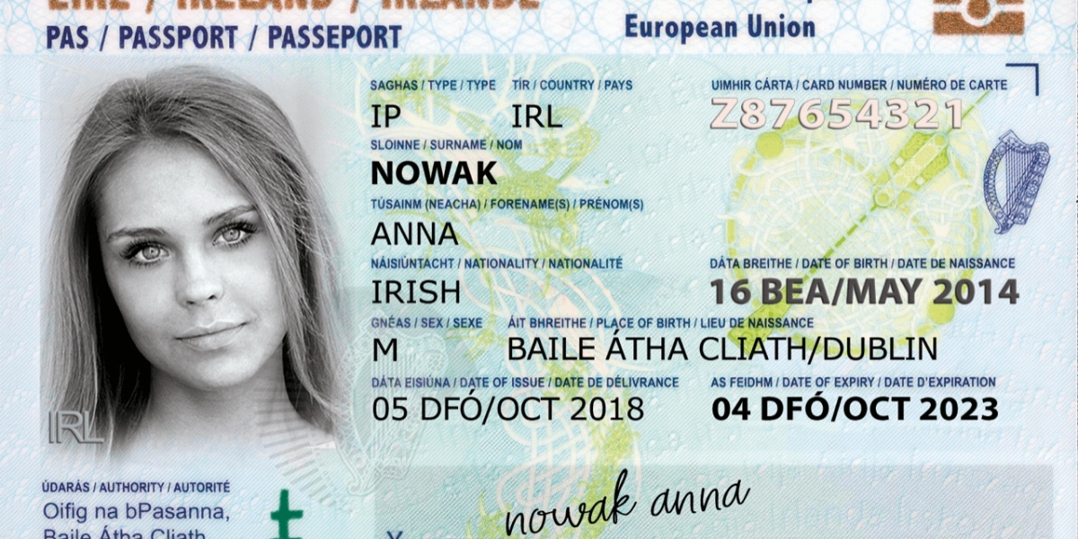 The Importance and Process of Obtaining a Driving License