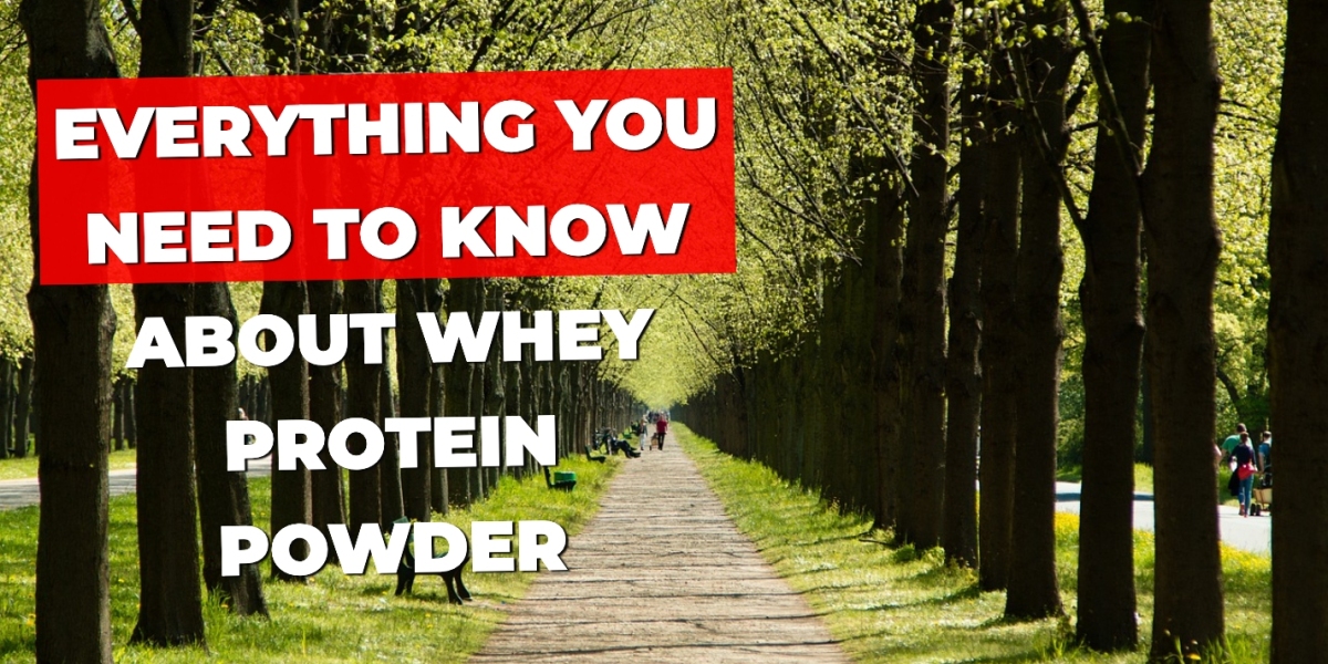 Everything You Need to Know About Whey Protein Powder