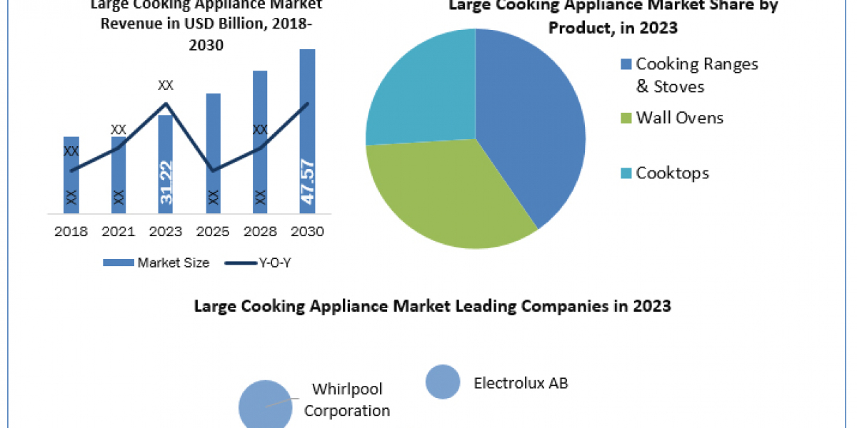 Trends in Large Cooking Appliances: Segmentation, Outlook by Region, Upcoming Projects, and Forecast to 2030