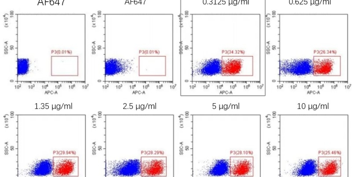 Anti-Chimeric Antigen Receptor Linker Antibodies for Streamlined CAR Detection