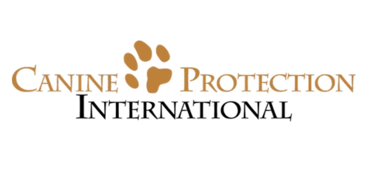 Unveiling the Process: How CPI Protection Dogs Are Trained for Excellence