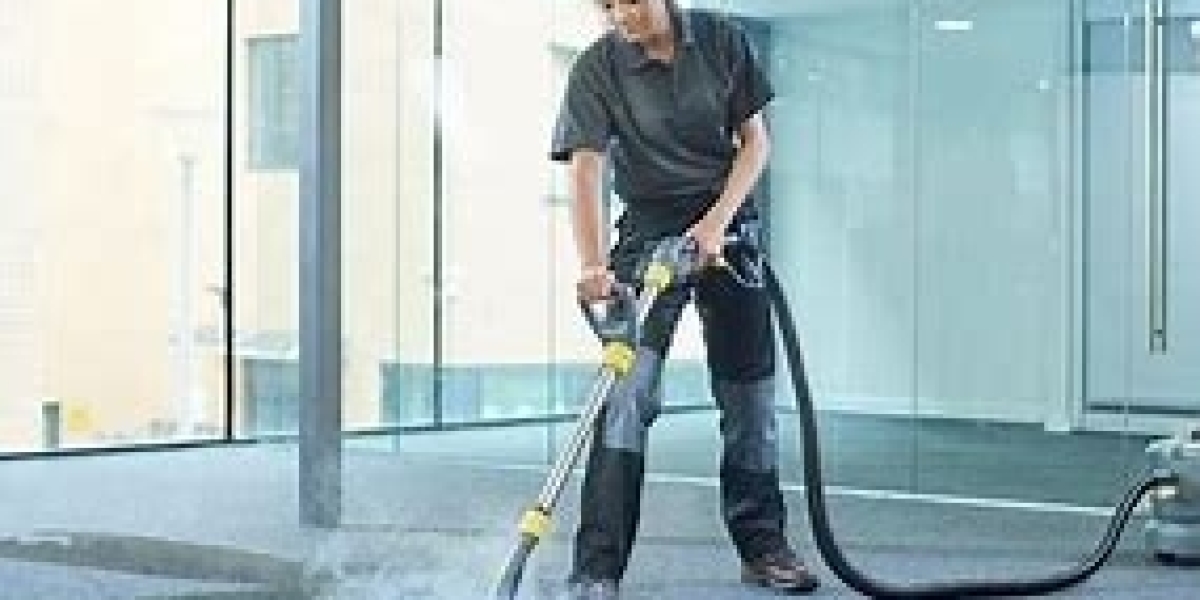 Professional Carpet Cleaning: Your Home’s Best Defense Against Dirt