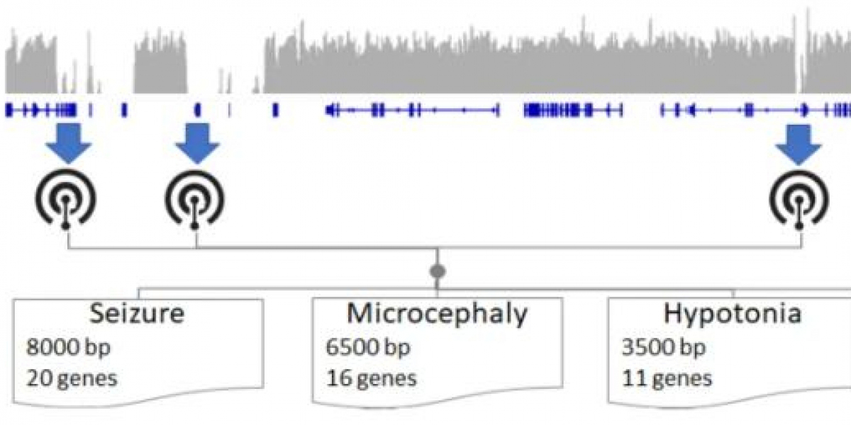 Variation Analysis