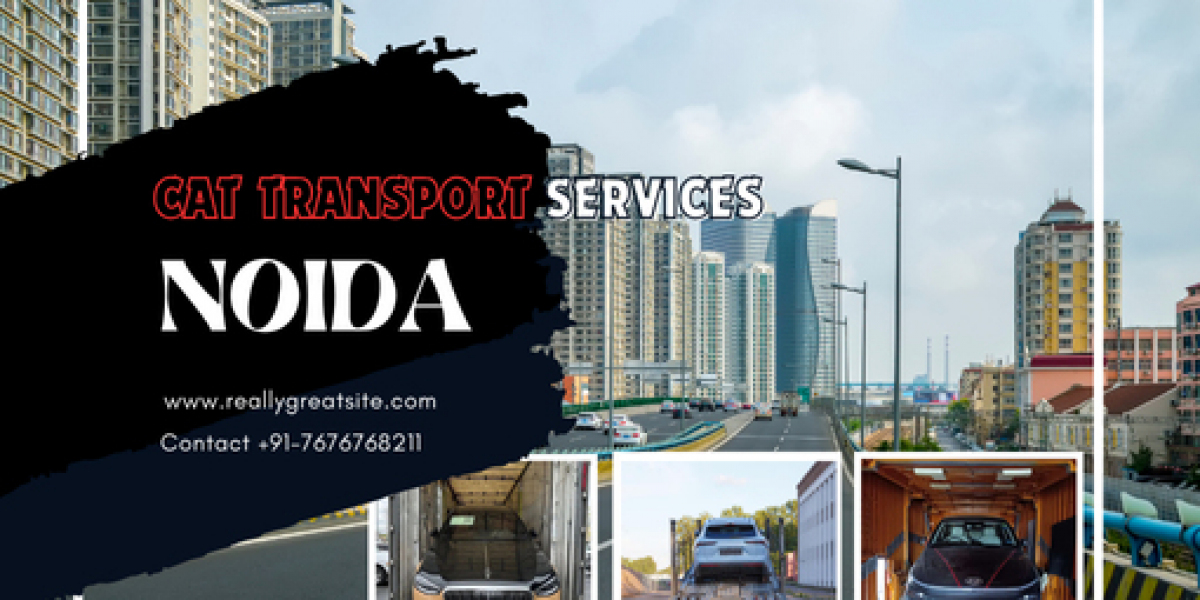 Car Movers and Packers in Noida