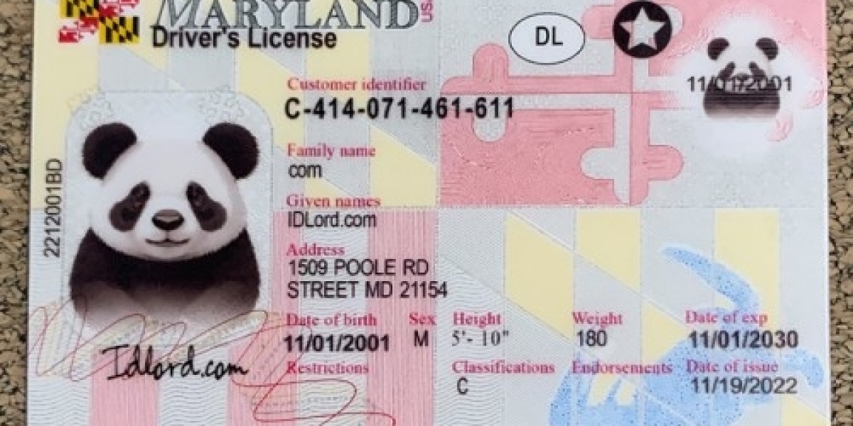 Get the Best Maryland Fake ID: Top Quality from IDLORD