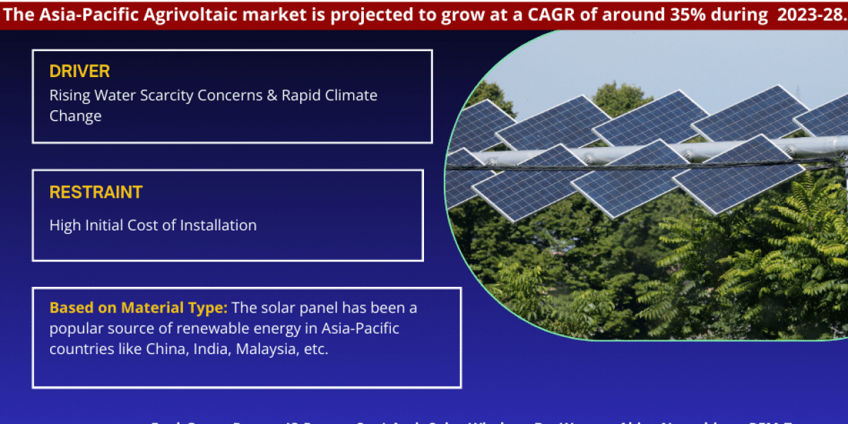 Asia-Pacific Agrivoltaic Market Trends set to witness Explosive growth by 2028