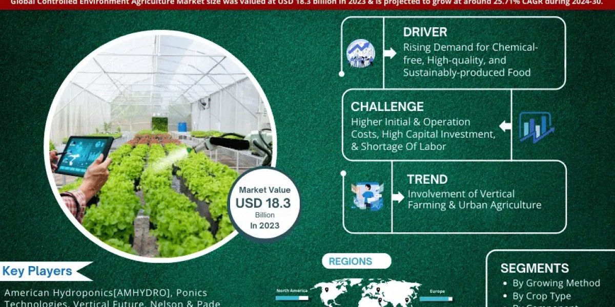 Controlled Environment Agriculture Market Size, Share, Geography, Business Trends, Growth and Forecast 2030