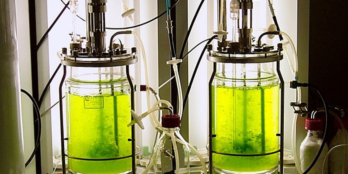 Global Photobioreactors (PBRs) Market Size, Growth, Trends, Forecasts To 2033