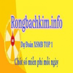 Rongbachkim info