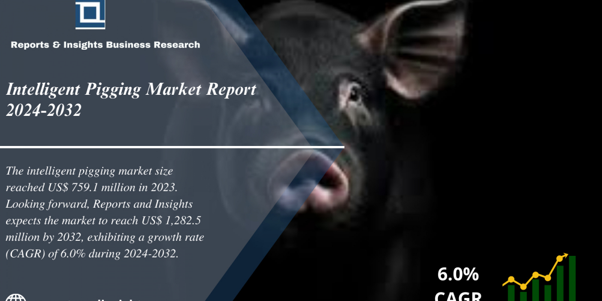 Intelligent Pigging Market 2024 to 2032: Share, Global Size, Trends, Analysis and Research Report