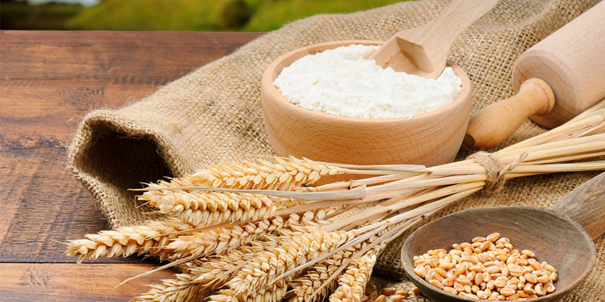 Explore 5 Key Trends Driving the Global Grain Mill Products Market