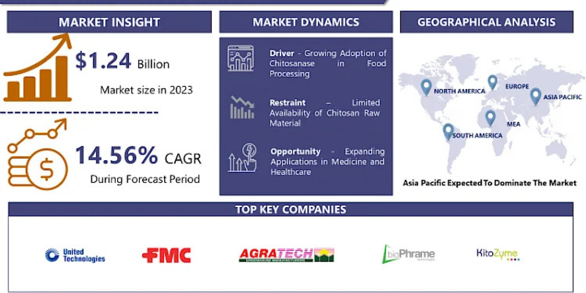 Chitosanase Market Navigating the Market Landscape: Size, Growth, and Share