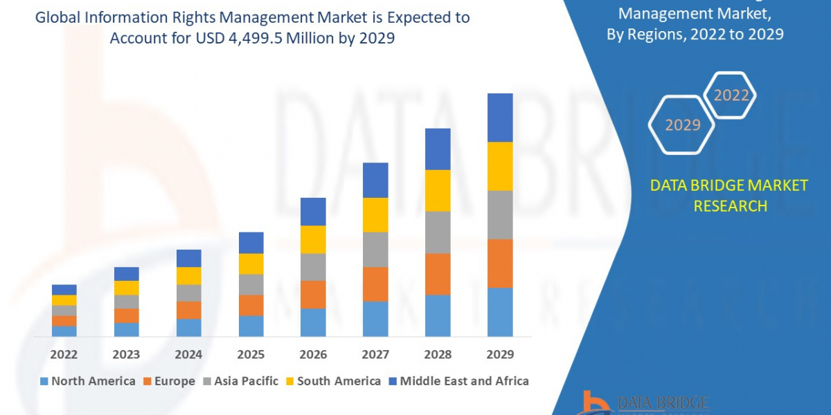 Information Rights Management Market Size, Share, Trends, Growth Opportunities and Competitive Outlook