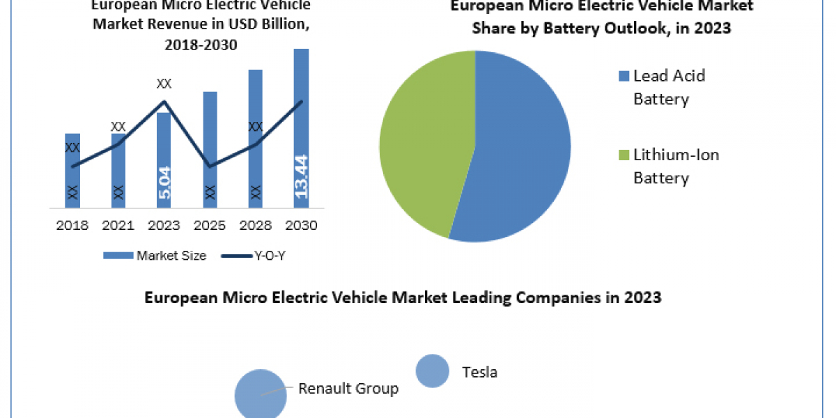 European Micro Electric Vehicle (EV) Industry Projected Growth Rate Through 2024-2030