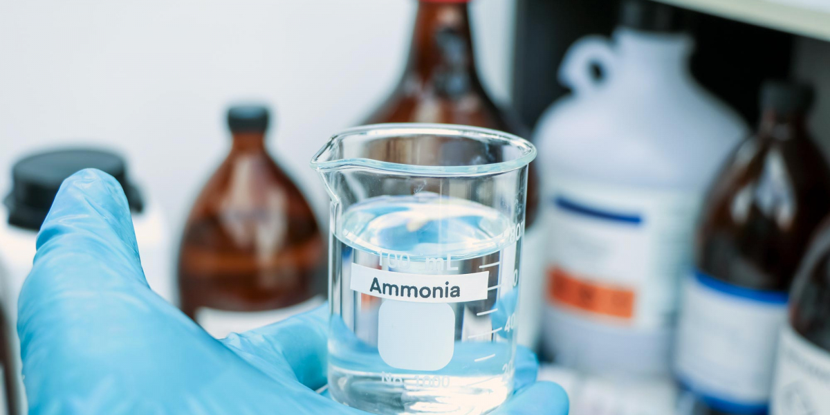 Ammonia Production Cost Analysis 2024: Industry Trends, Manufacturing Process and Raw Materials Requirement