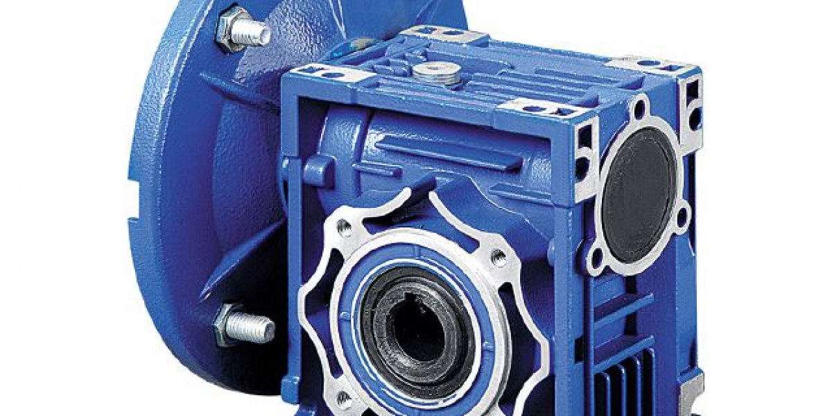 Worm Gear Reducer