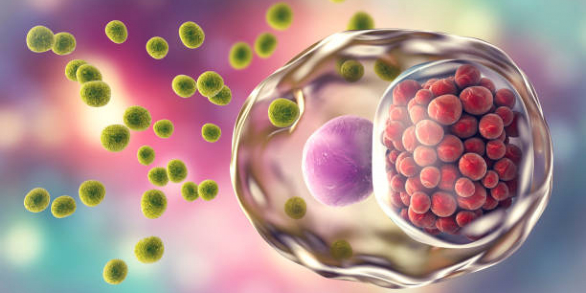 Car T Cell Therapy Market Size, Share | Industry Analysis 2024-32