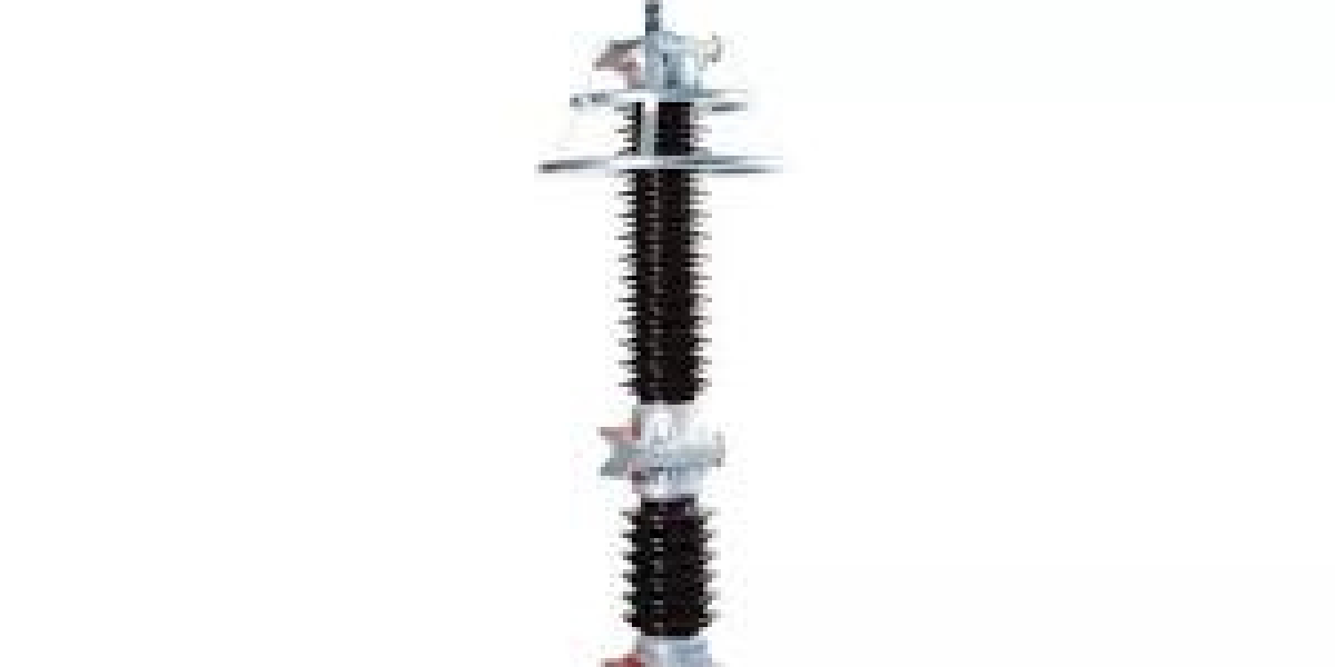 Japan’s Surge Arrester Market: Trends and Future Outlook