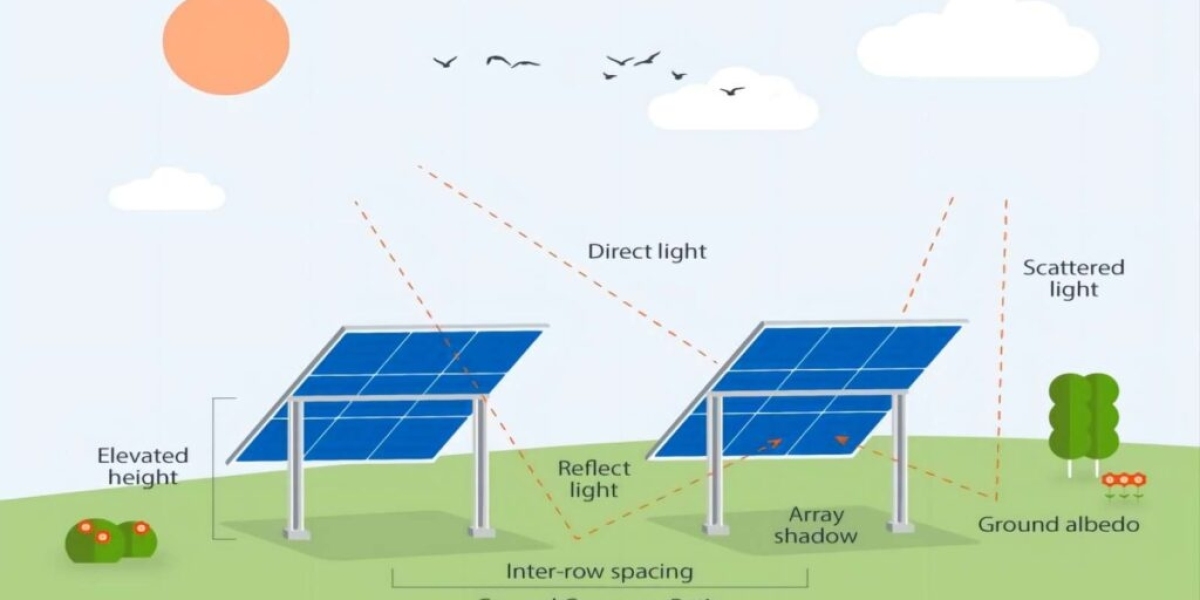 How Bifacial Half-Cut Solar Panels Transformed My Energy Bill