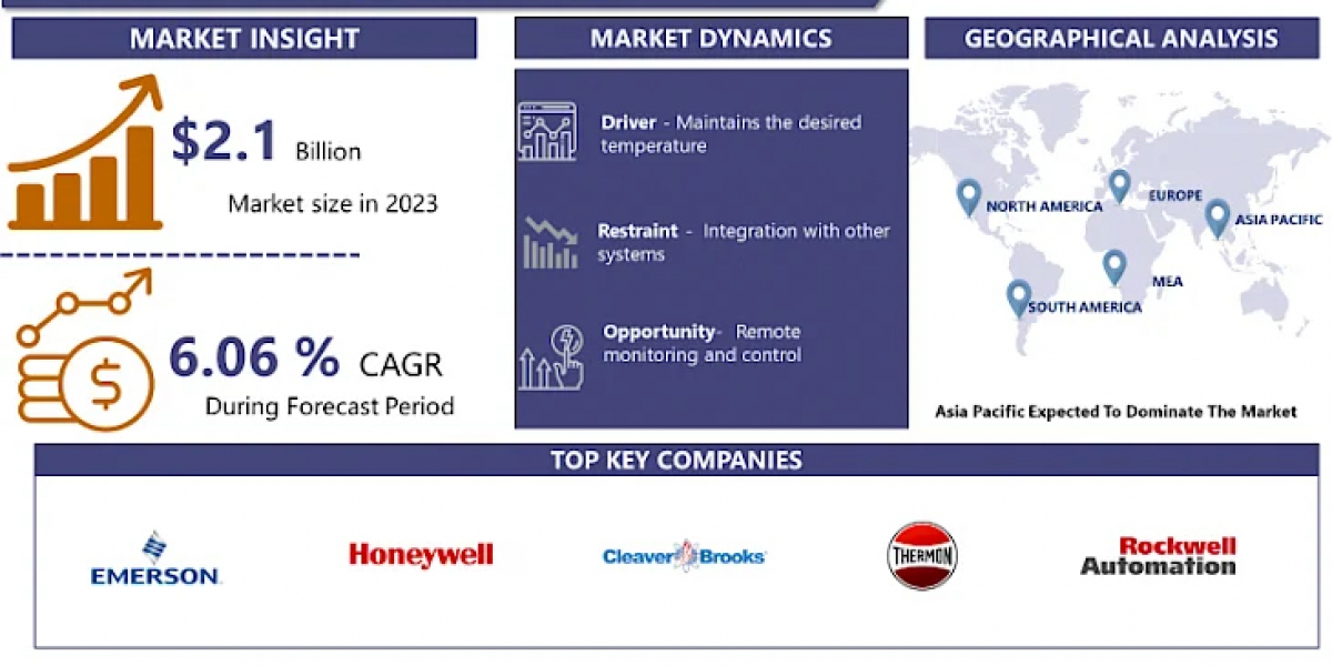 Boiler Control Market: Current Situation Analysis by Market Share