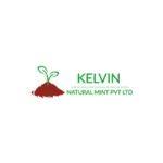 Kelvin Natural Mint