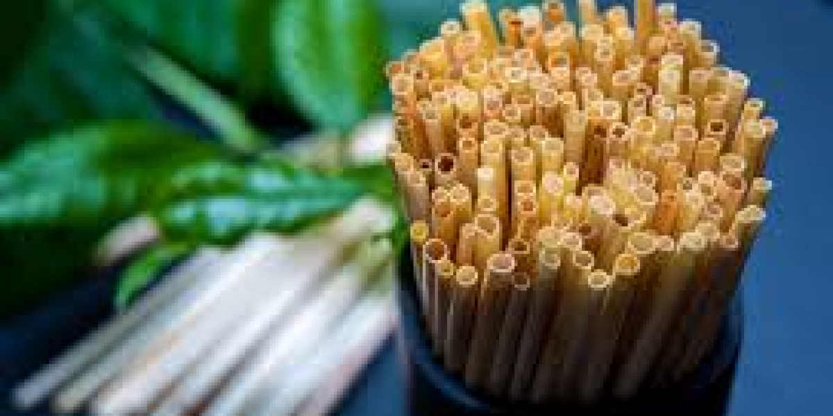 Global Eco Friendly Straws Market 2023 | Industry Outlook & Future Forecast Report Till 2032