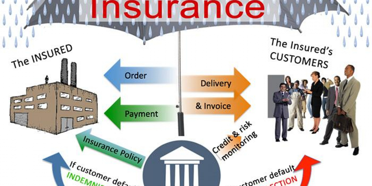 Trade Credit Insurance Market Scenario, Growth and trends Report 2030