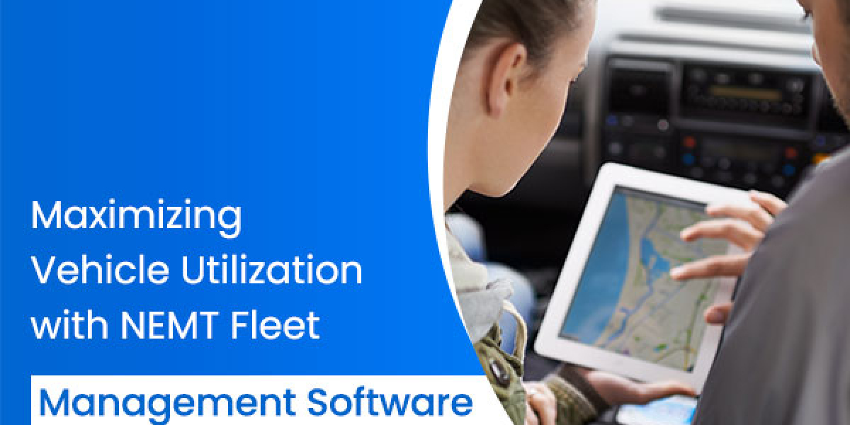 Maximizing Vehicle Utilization with NEMT Fleet Management Software