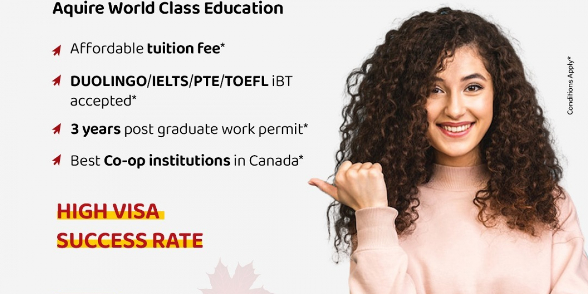 Study in Canada consultants in Guntur