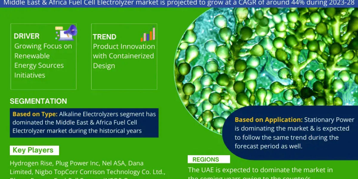 Middle East & Africa Fuel Cell Electrolyzer Market: Rising Trends, Opportunities and Challenges Growth at a CAGR of 