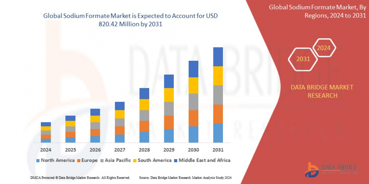 Sodium Formate Market Size, Share, Trends, Growth Opportunities and Competitive Outlook