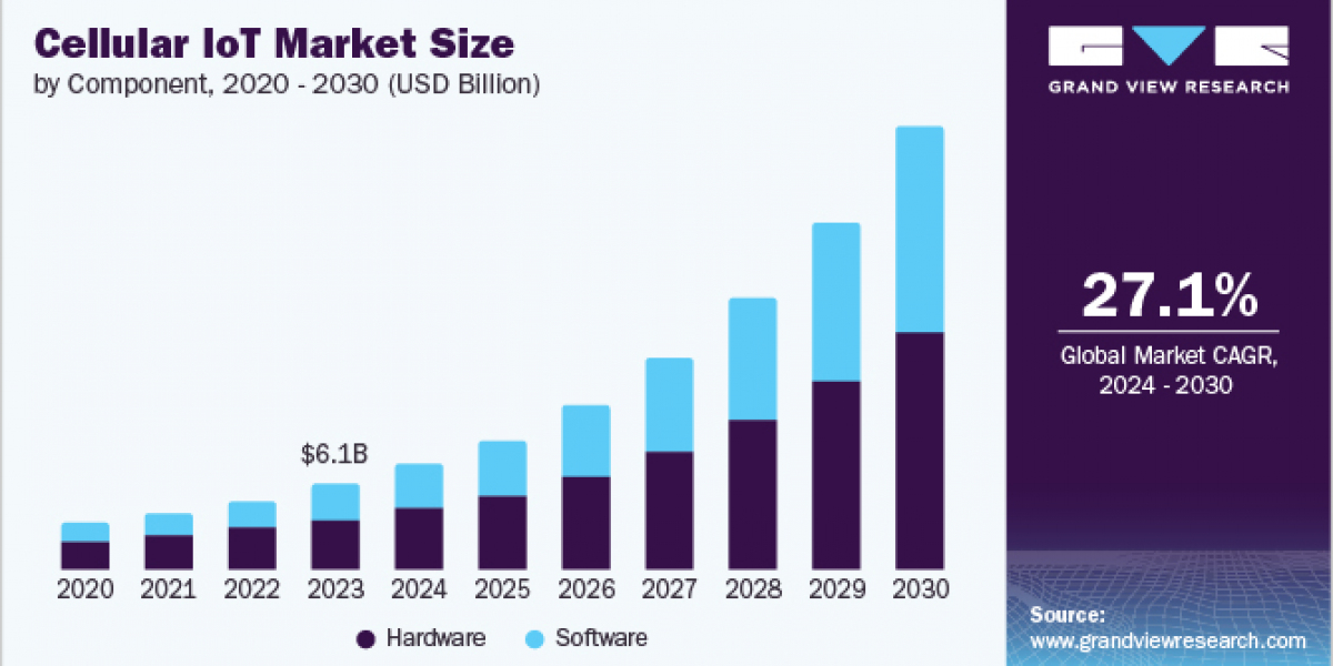 Cellular IoT Market 2030: Reshaping Retail Experiences