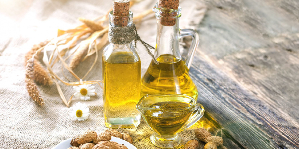 Groundnut Oil Manufacturing Plant Project Report 2024: Business Plan, Manufacturing Process, and Profit Margin