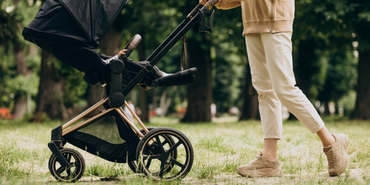 Future of Adaptive Strollers: Market Growth, Trends, and Projections to 2033